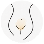 female genital area